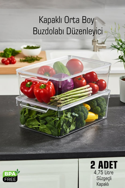 FrostyBox Kapaklı Süzgeçli Orta Boy Buzdolabı Düzenleyici ve Dolap İçi Organizer 2 Adet