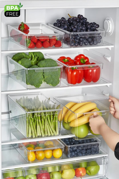 FrostyBox Kapaklı Süzgeçli Orta Boy Buzdolabı Düzenleyici ve Dolap İçi Organizer 2 Adet