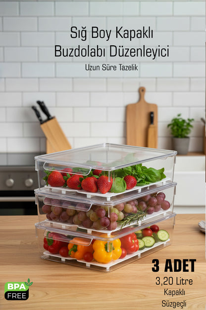 Sığ Boy FrostyBox Kapaklı Süzgeçli Buzdolabı Düzenleyici ve Dolap İçi Organizer 3 Adet