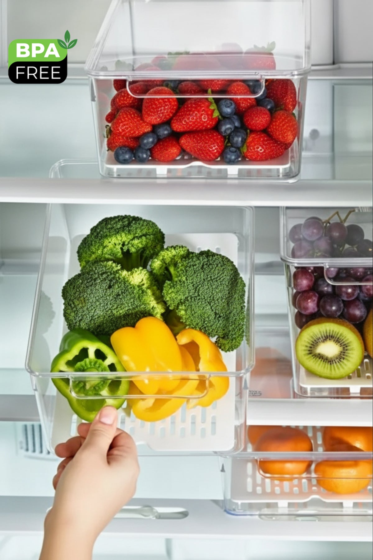 FrostyBox Orta Boy Buzdolabı Düzenleyici Organizer ve Dolap İçi Düzenleyici Set 3 Adet