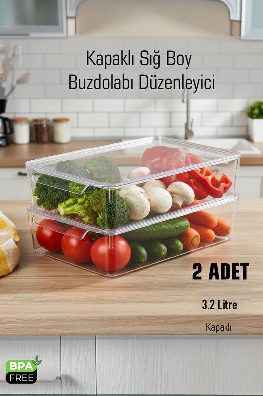 FrostyBox Süzgeçli Sığ Buzdolabı Düzenleyici ve Dolap İçi Organizer Kapaklı 2 Adet